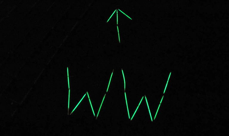 Das war die Lange Nacht der Wissenschaften am Department WW