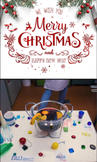 Zum Artikel "Weihnachtliche Grüße aus dem Lehrstuhl WW3"